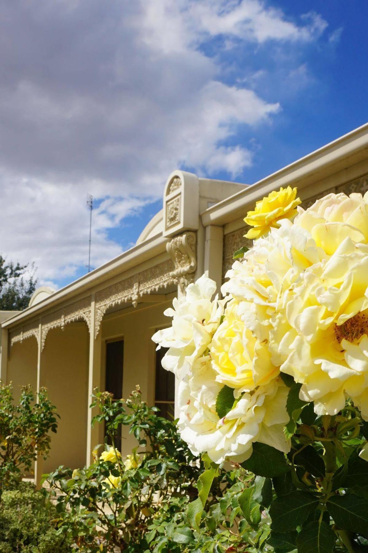 Acacia Terraces Aparthotel Echuca Eksteriør bilde